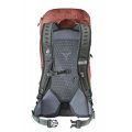 Deuter AC Lite 16 redwood-ivy