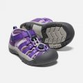 KEEN Newport H2 K tillandsia purple/english lavender