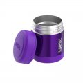 Thermos FUNtainer 290 ml fialová