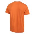 Inov-8 GRAPHIC TEE &quot;BRAND&quot; M orange