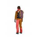 Ortovox Avabag Litric Tour 36S mountain rose