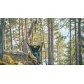 Robens Trace Hammock Chair