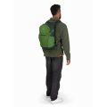 OSPREY DAYLITE PLUS green belt/green canopy