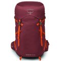 OSPREY SPORTLITE TOUR 26 acorn red