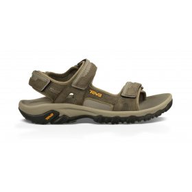 Teva Hudson 1002433 BNGC