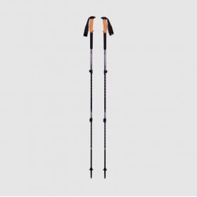 Black Diamond Trail Cork Trekking Poles granite