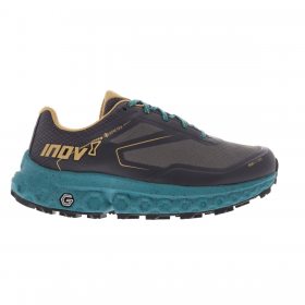 Inov-8 ROCFLY G 350 GTX W (S) slate/teal/sand