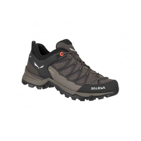 Salewa WS MTN TRAINER LITE GTX walnut/fluo coral