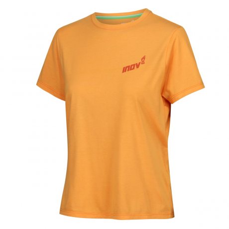 Inov-8 GRAPHIC TEE &quot;SKIDDAW&quot; W yellow