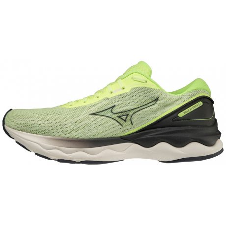 Mizuno WAVE SKYRISE 3 J1GC220915