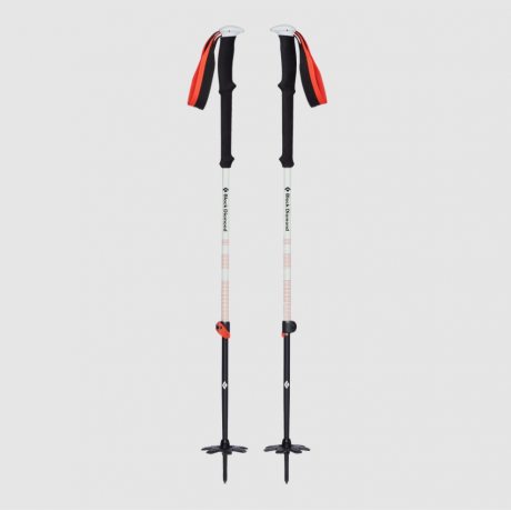 Black Diamond Expedition 2 Ski Poles