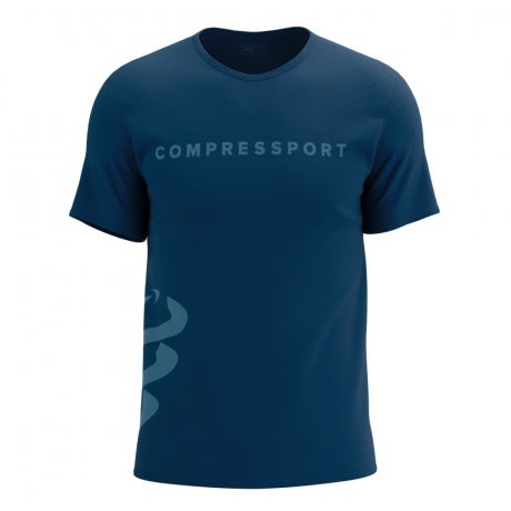 COMPRESSPORT LOGO SS TSHIRT M estate blue/pacific coast