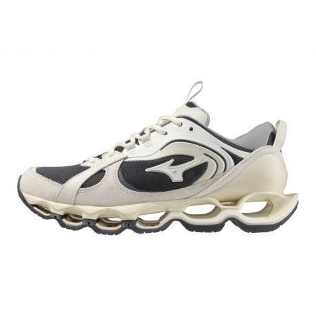 Mizuno WAVE PROPHECY β 2 D1GA235009