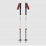 Black Diamond Expedition 2 Ski Poles